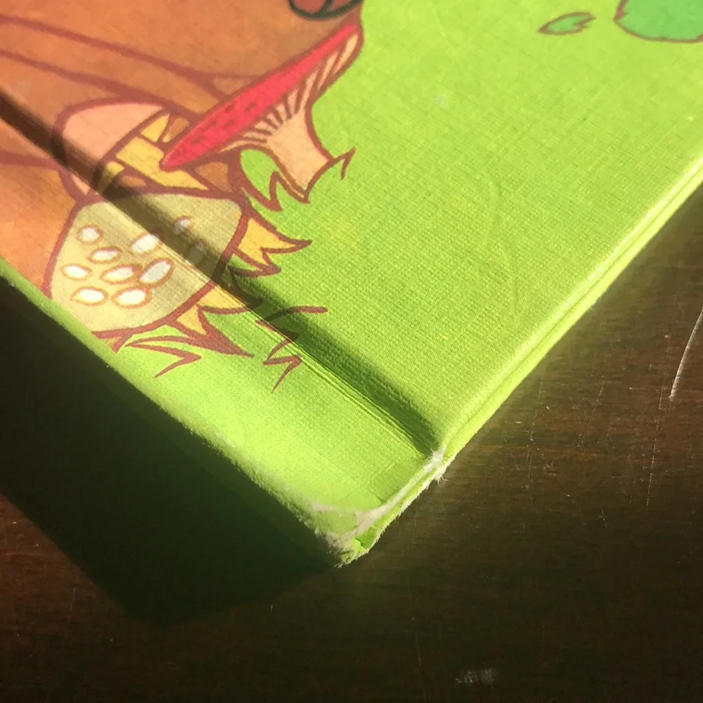 Walt Disney Hiawatha’s Bear Hunt Hardcover Wonderful World of Reading Series